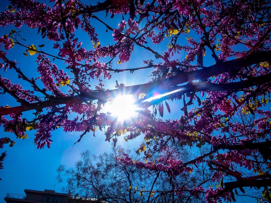 Καιρός: Αίθριος με πτώση θερμοκρασίας και ισχυρούς ανέμους σήμερα