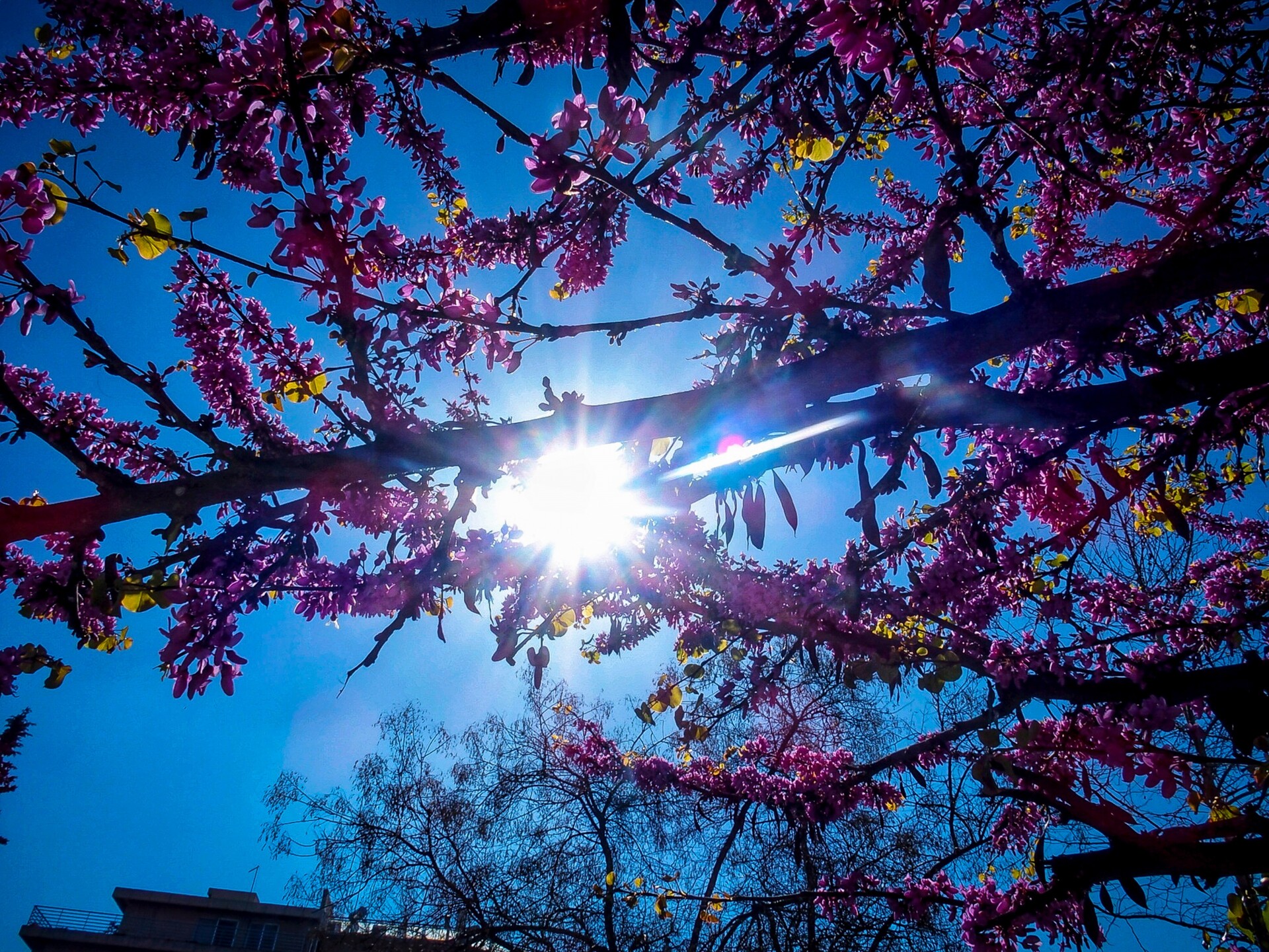 Καιρός: Αίθριος με πτώση θερμοκρασίας και ισχυρούς ανέμους σήμερα