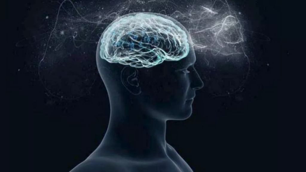 Νέα μελέτη: Ο ανθρώπινος εγκέφαλος μεγαλώνει από γενιά σε γενιά