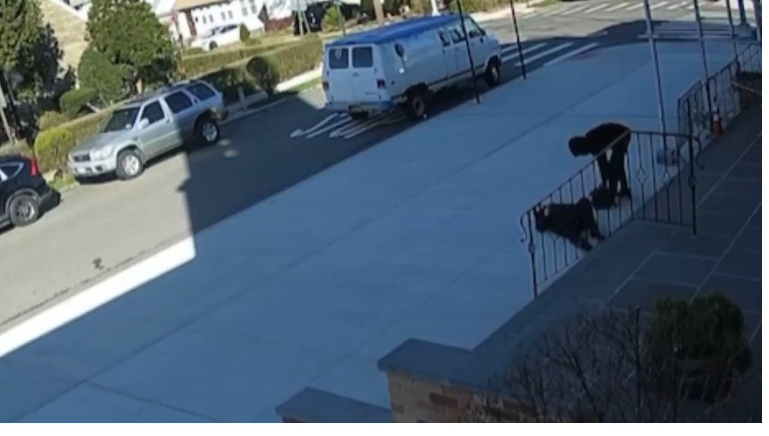 Αστόρια: Κακοποιός επιτίθεται και ληστεύει Ελληνίδα έξω από τον Ορθόδοξο Ναό του Αγίου Δημητρίου (βίντεο)