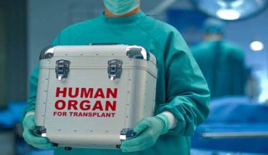 Γεγονός η πρώτη επιτυχημένη μεταμόσχευση καρδιάς με μόσχευμα που πέταξε πάνω από τον Ατλαντικό