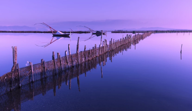 Όχι δεν είναι ψεύτικη: Η λιμνοθάλασσα του Μεσολογγίου μοιάζει σαν πίνακας ζωγραφικής (φώτο)
