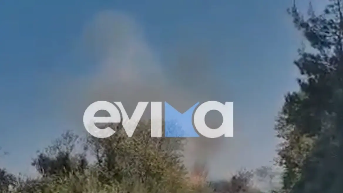 Υπό έλεγχο τέθηκε η φωτιά που ξέσπασε στην Εύβοια (upd)