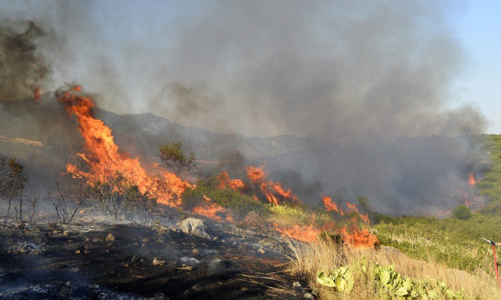 Φωτιά σε δασική έκταση στην περιοχή Μεγαλόβρυσο Αγιάς Λάρισας