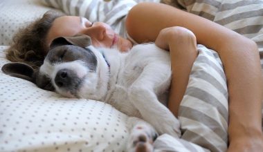Νέα έρευνα αποκαλύπτει: Το να κοιμάσαι με τον σκύλο σου κάνει κακό στον ύπνο σου 