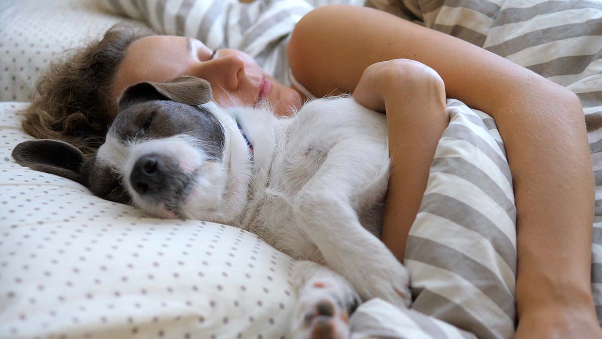 Νέα έρευνα αποκαλύπτει: Το να κοιμάσαι με τον σκύλο σου κάνει κακό στον ύπνο σου 
