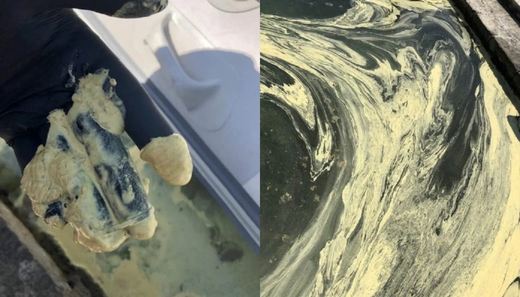 Κιτρίνισαν τα νερά του Αμβρακικού – Ποια η αιτία; (φώτο)