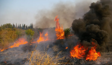 Πυροσβεστική: Το τελευταίο 24ωρο ξέσπασαν 56 αγροτοδασικές πυρκαγιές
