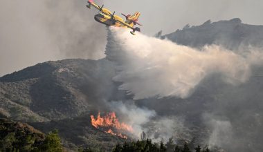 Πυροσβεστική: Ξέσπασαν 47 αγροτοδασικές πυρκαγιές σε ένα 24ωρο – Δύο συλλήψεις σε Καλαμάτα και Πόρτο Ράφτη 