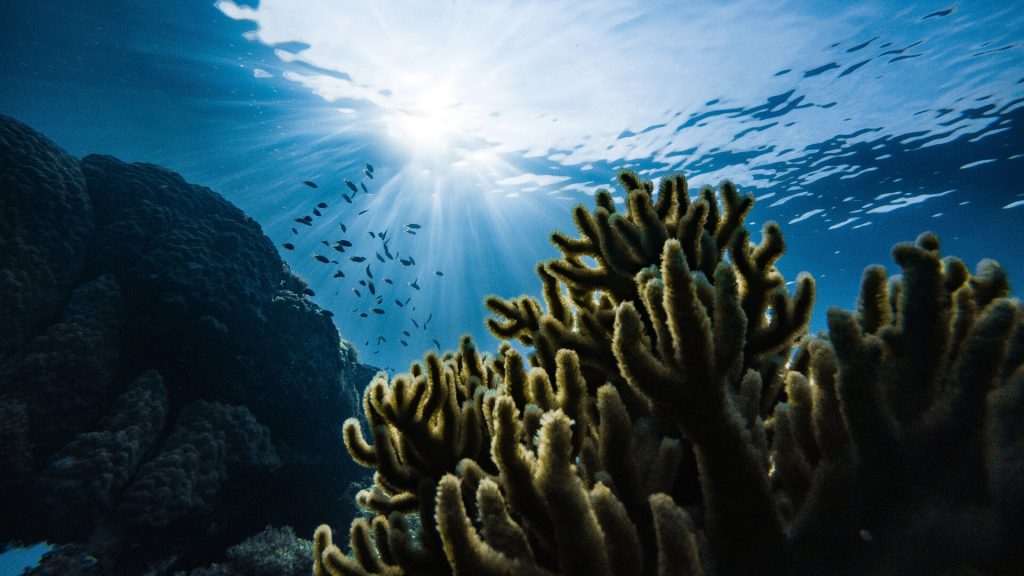 Κρήτη: Το νησί που κάποτε ήταν… βυθός μιας πανάρχαιας θάλασσας