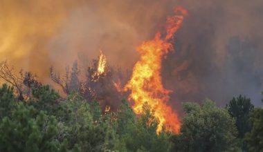 Σπάτα: Φωτιά σε δασική έκταση απέναντι από το Αττικό Ζωολογικό Πάρκο (upd)