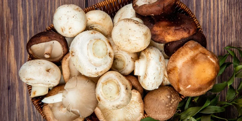 Μανιτάρια: Πως μπορούν να επηρεάσουν τη λειτουργία της καρδιάς