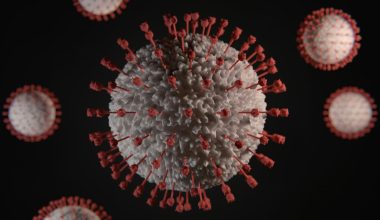 Ανθρώπινος ιός Β: Δείτε ποια είναι τα σημάδια της μόλυνσης – Μπορεί να οδηγήσει σε σοβαρή εγκεφαλική βλάβη ή θάνατο
