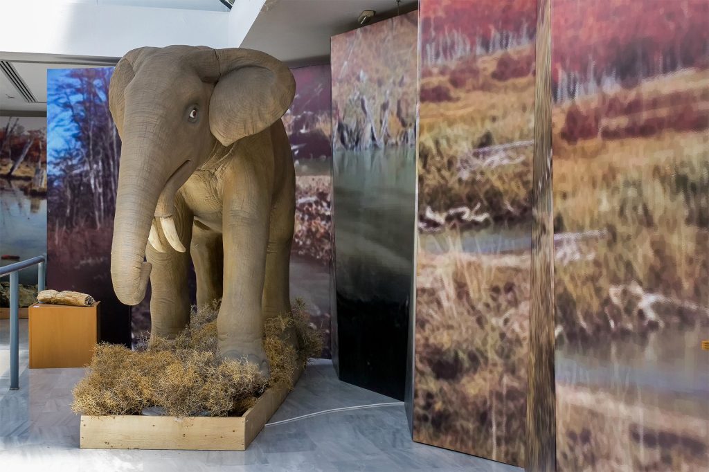 Γερμανία: Σημαντική ανακάλυψη στη Βαυαρία – Βρέθηκαν οστά προϊστορικών ελεφάντων (φώτο)