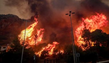 Πυροσβεστική: 44 πυρκαγιές εκδηλώθηκαν το τελευταίο 24ωρο στη χώρα