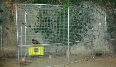 Χίος: Χειροπέδες σε άνδρα που κρατούσε φυλακισμένα στο σπίτι του 18 άγρια πτηνά