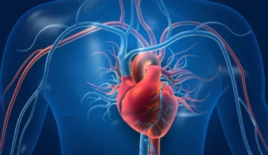 Καρδιακή αρρυθμία: Αυξάνονται επικίνδυνα οι πάσχοντες – Ποιες είναι οι σημαντικότερες επιπλοκές της