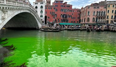 Βενετία: Πράσινο και κόκκινο βάφτηκε το Μεγάλο Κανάλι – Γάλλοι τουρίστες έριξαν την ουσία από πλωτό λεωφορείο