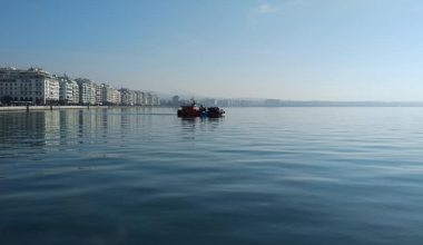 Θεσσαλονίκη: Δελφίνια εμφανίστηκαν στον Θερμαϊκό και εντυπωσίασαν (φωτο)