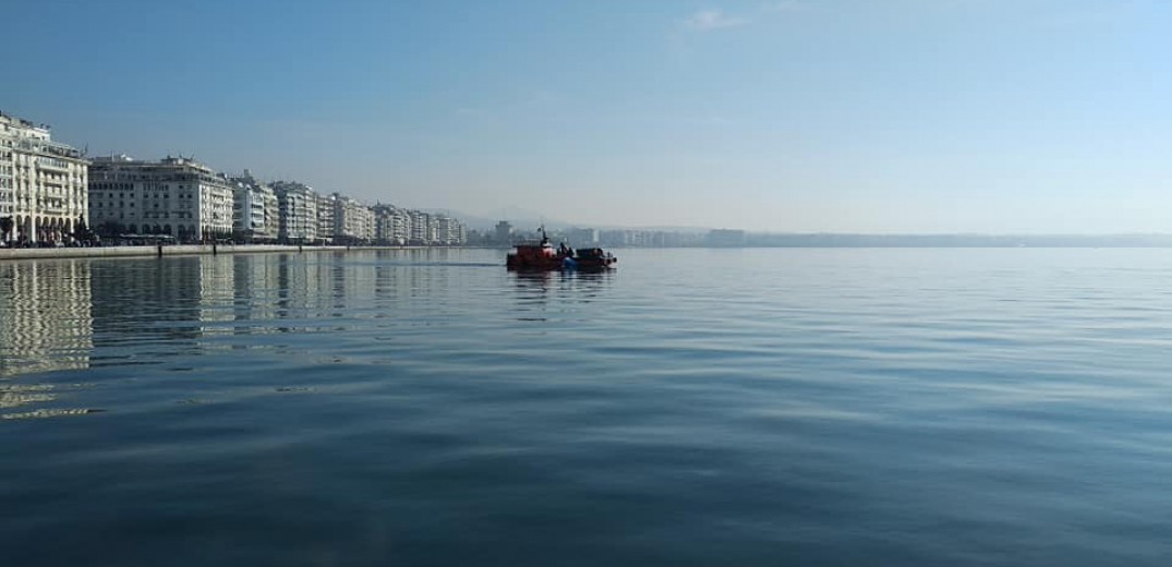 Θεσσαλονίκη: Δελφίνια εμφανίστηκαν στον Θερμαϊκό και εντυπωσίασαν (φωτο)