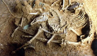 Γαλλία: Ανακαλύφθηκαν προϊστορικοί σκελετοί με τους αστραγάλους δεμένους στον λαιμό