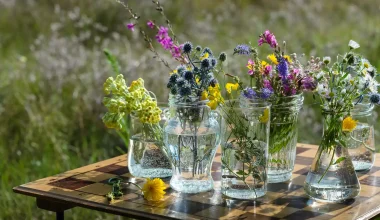 Για ποιο λόγο δεν πρέπει τα βάζα στο σπίτι μας να μένουν άδεια