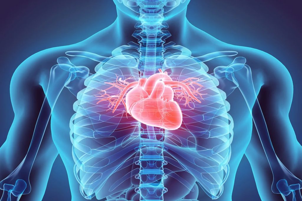 Αυτά είναι τα πρώιμα συμπτώματα της καρδιακής ανεπάρκειας – Οι επιλογές θεραπείας