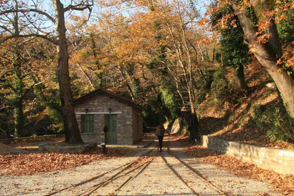 Μηλιές: Το χωριό στο Πήλιο με τα εντυπωσιακά πυργόσπιτα και τα καλοδιατηρημένα αρχοντικά που θα σας «μαγέψει» (φώτο)