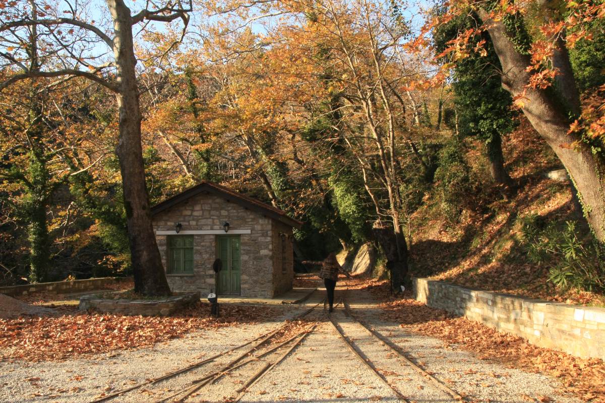 Μηλιές: Το χωριό στο Πήλιο με τα εντυπωσιακά πυργόσπιτα και τα καλοδιατηρημένα αρχοντικά που θα σας «μαγέψει» (φώτο)