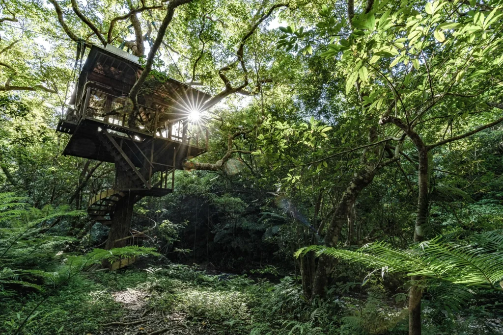 Ιαπωνία: Ένα ξενοδοχείο που στην πραγματικότητα είναι… δεντρόσπιτο (φώτο)