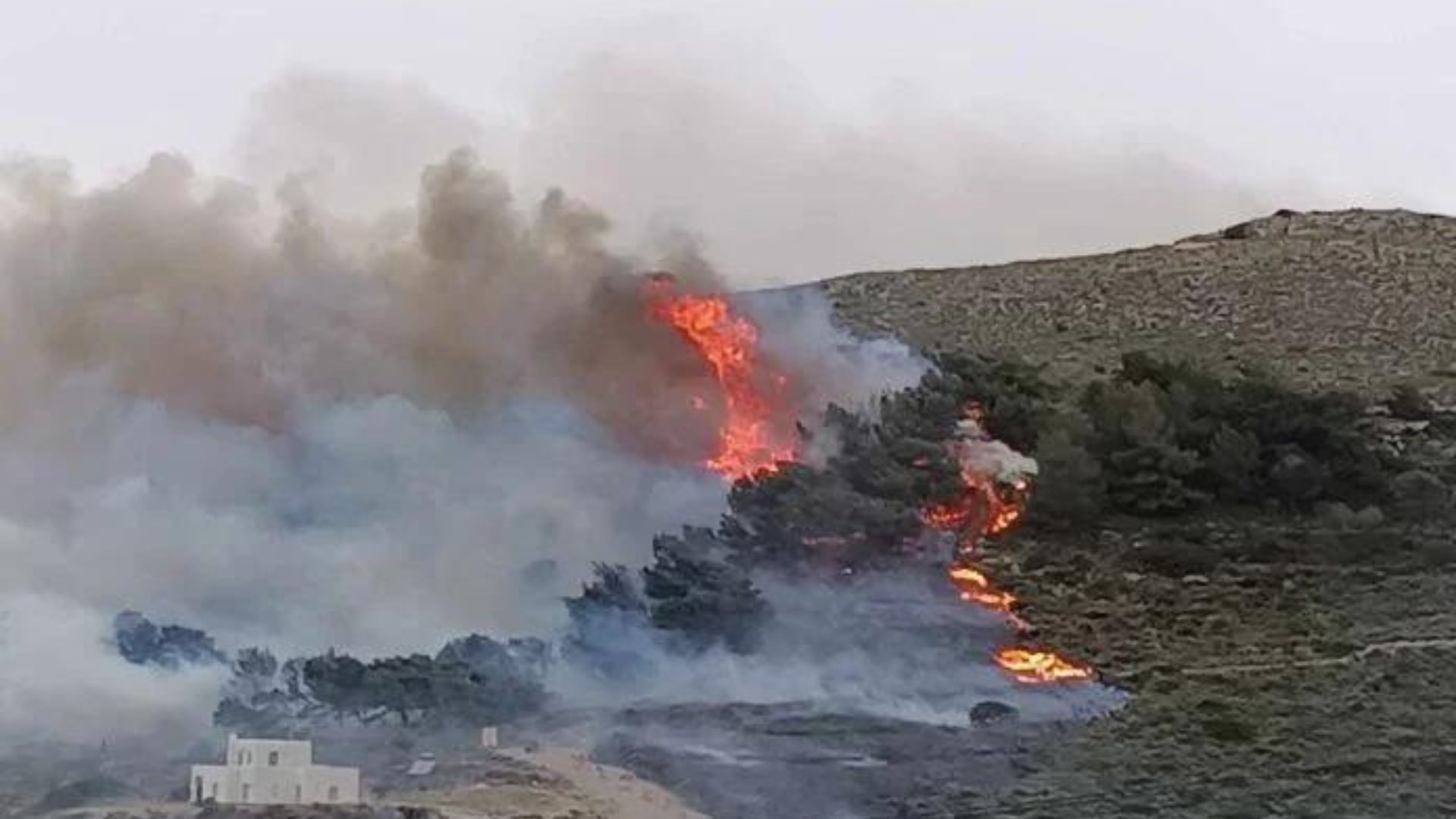 Πάρος: Συνελήφθησαν 3 άτομα για την πυρκαγιά στο νησί