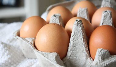 Αυγά: «Στο κόκκινο» η τιμή τους λίγο πριν το Πάσχα – Ποιος ο λόγος