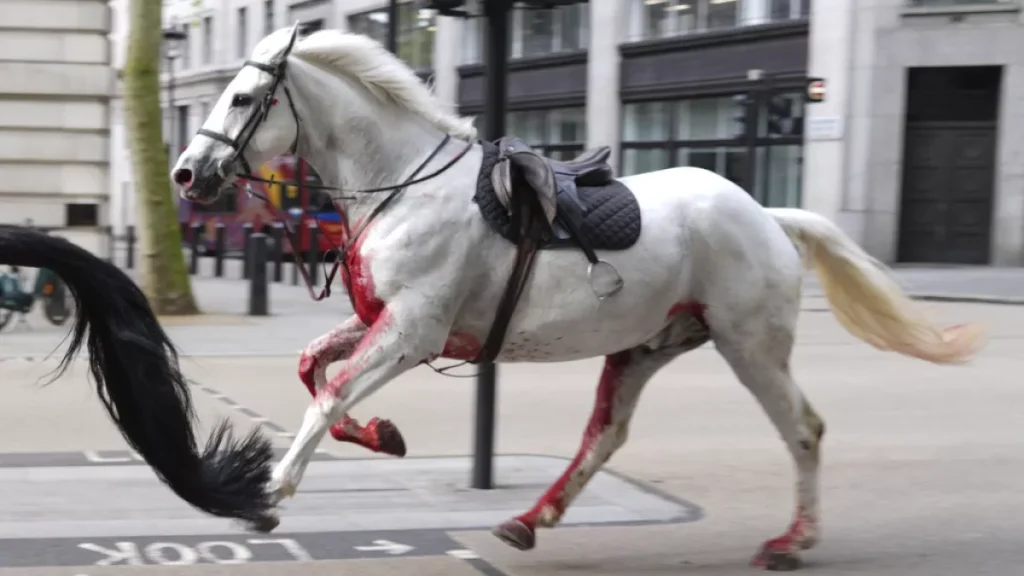 Λονδίνο: Σε σοβαρή κατάσταση δύο από τα άλογα του Βρετανικού ιππικού που έτρεχαν ελεύθερα στους δρόμους
