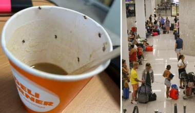 Πήρε καφέ από το αεροδρόμιο και ήταν γεμάτος έντομα – Έπαθε αναφυλακτικό σοκ και πέρασε 36 ώρες στη ΜΕΘ