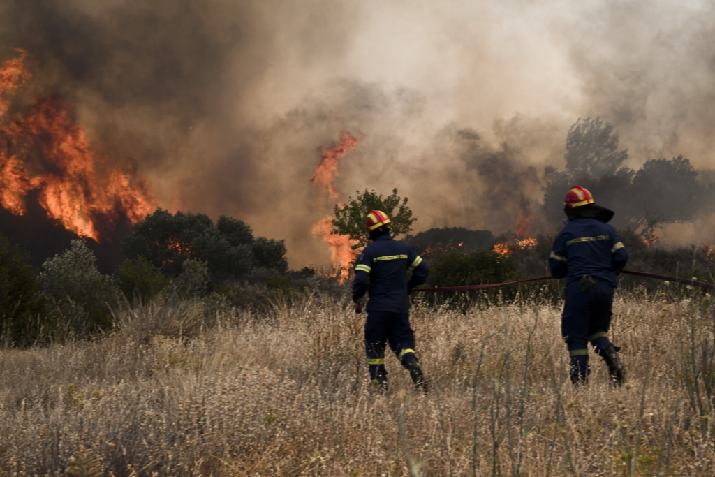 Λακωνία: Σε ύφεση η φωτιά που ξέσπασε σε αγροτοδασική έκταση στον Άγιο Στέφανο (upd)