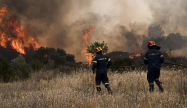 Λακωνία: Σε ύφεση η φωτιά που ξέσπασε σε αγροτοδασική έκταση στον Άγιο Στέφανο