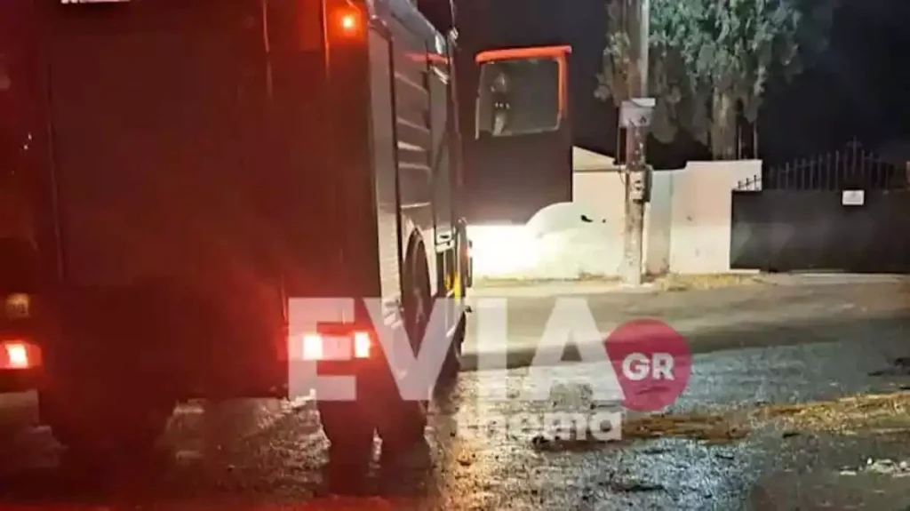 Άγρια κτηνωδία στη Χαλκίδα: Πέταξαν σκύλο σε κάδο απορριμμάτων και τον έκαψαν