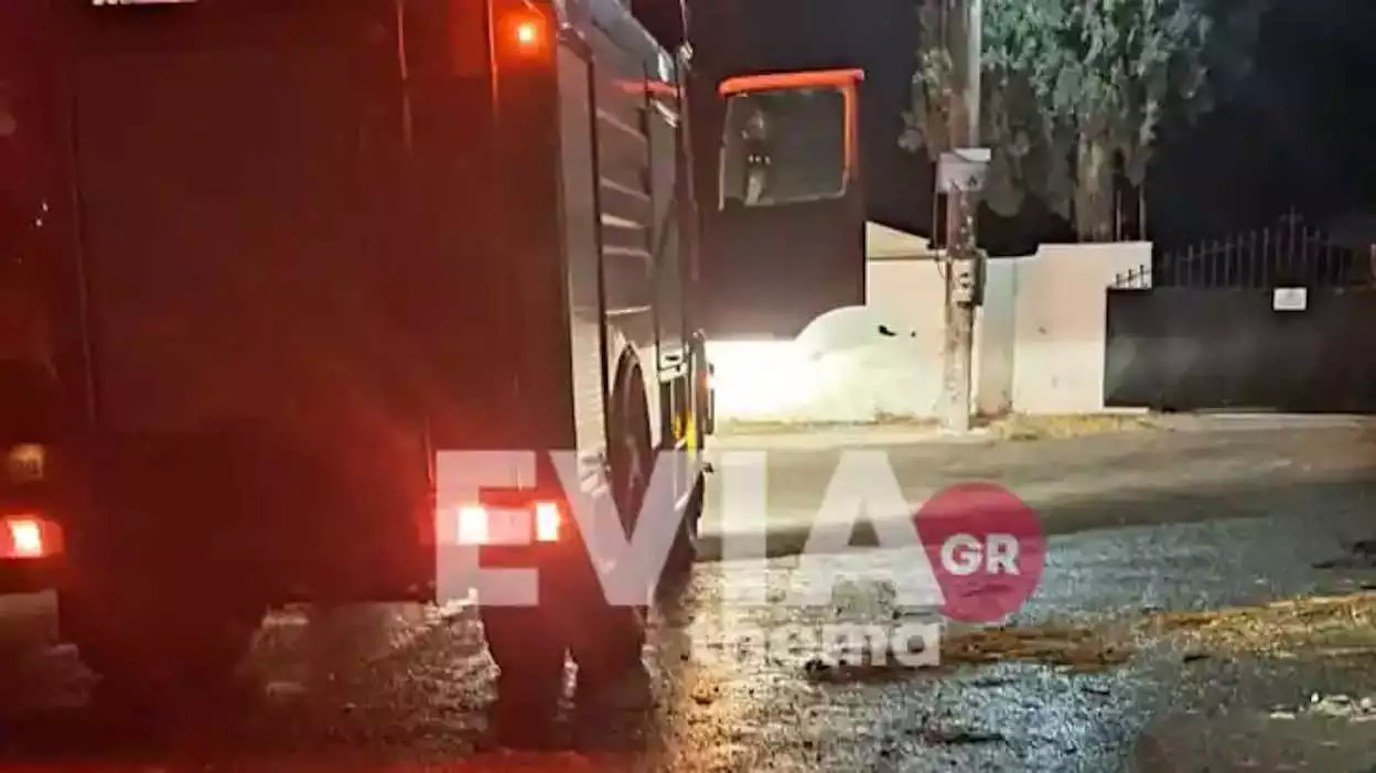 Άγρια κτηνωδία στη Χαλκίδα: Πέταξαν σκύλο σε κάδο απορριμμάτων και τον έκαψαν