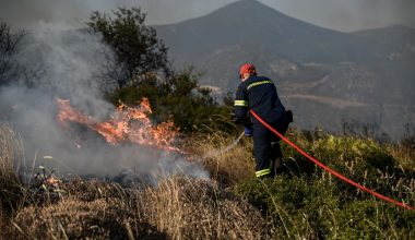 Πυροσβεστική: Το τελευταίο 24ωρο ξέσπασαν 28 αγροτοδασικές πυρκαγιές