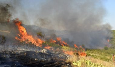 Φθιώτιδα: Φωτιά σε αγροτοδασική έκταση στην Άνυδρο Στυλίδας