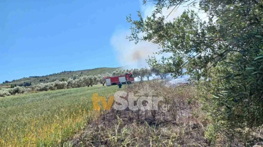 Υπό μερικό έλεγχο η φωτιά που ξέσπασε στον Αλίαρτο Βοιωτίας (upd)