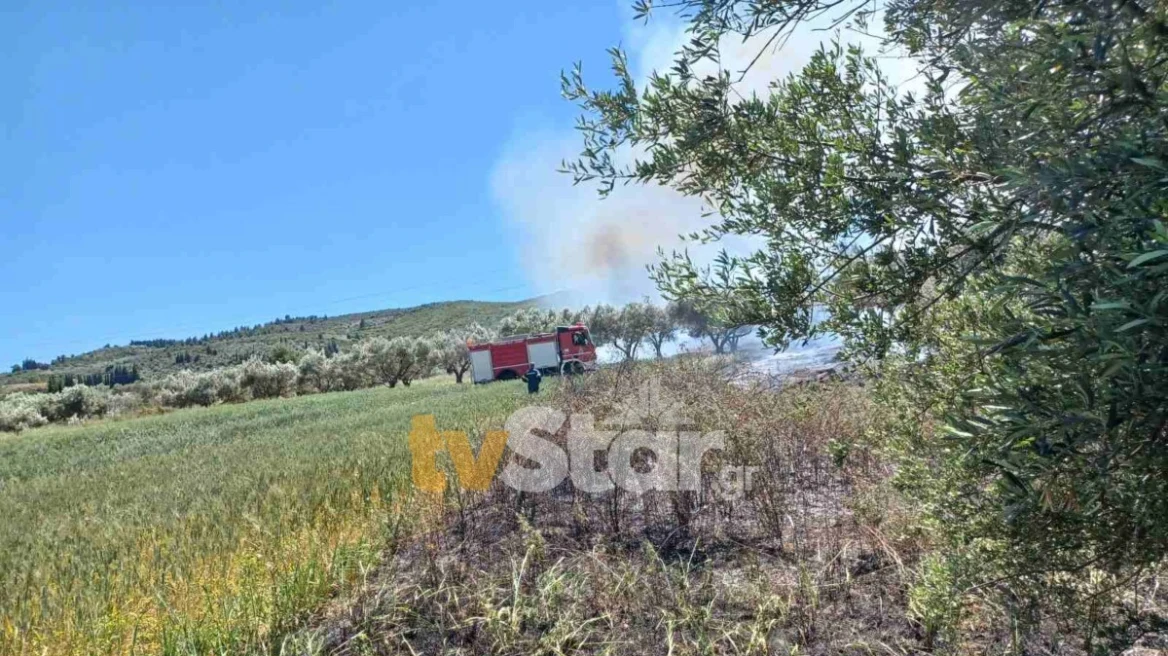 Υπό μερικό έλεγχο η φωτιά που ξέσπασε στον Αλίαρτο Βοιωτίας (upd)