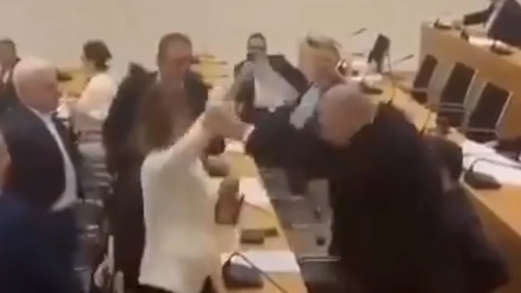 Γεωργία: Δυτικόφιλη βουλευτής χτύπησε στο κεφάλι συνάδελφό της – Δείτε βίντεο 