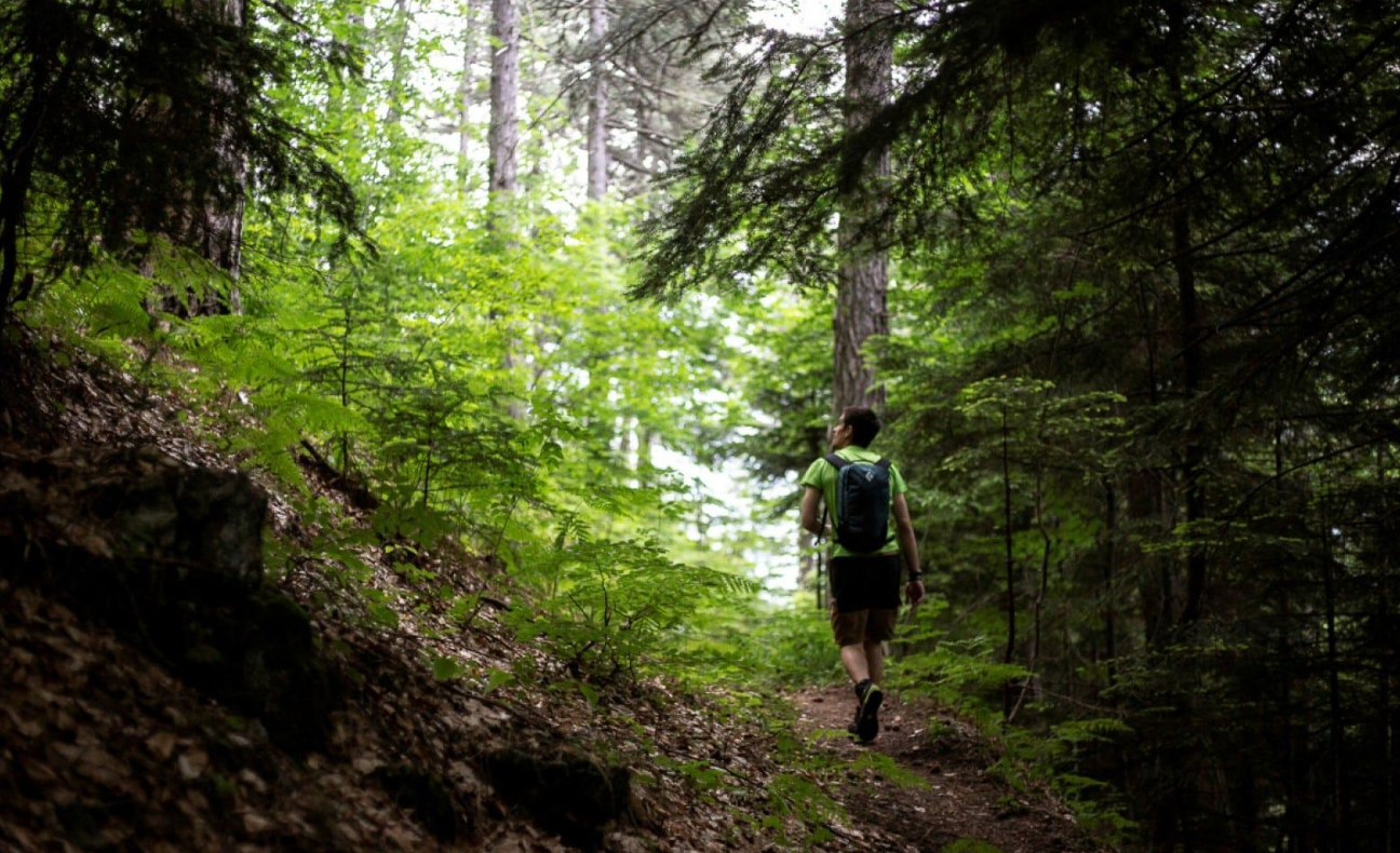 Πώς κατάφερε να επιζήσει ο Πολωνός περιπατητής που χάθηκε στα Σφακιά – «Έπινε χιόνι για δυο μέρες»