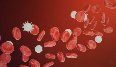 Χαμηλά λευκά αιμοσφαίρια: Συμπτώματα και πιθανές αιτίες