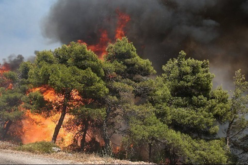 Υψηλός κίνδυνος για πυρκαγιές τη Μεγάλη Παρασκευή σε τέσσερις περιφέρειες