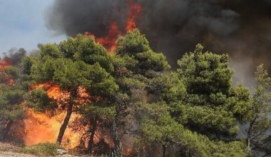 Υψηλός κίνδυνος για πυρκαγιές τη Μεγάλη Παρασκευή σε τέσσερις περιφέρειες