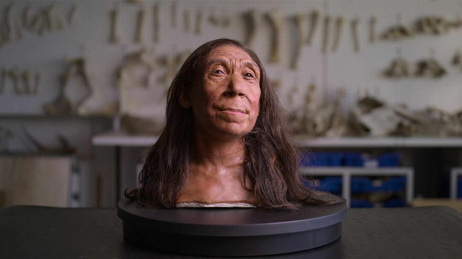 Βρετανοί ερευνητές αποκάλυψαν το πρόσωπο 40χρονης Νεάντερταλ που έζησε πριν από 75.000 χρόνια (φωτο+βίντεο)