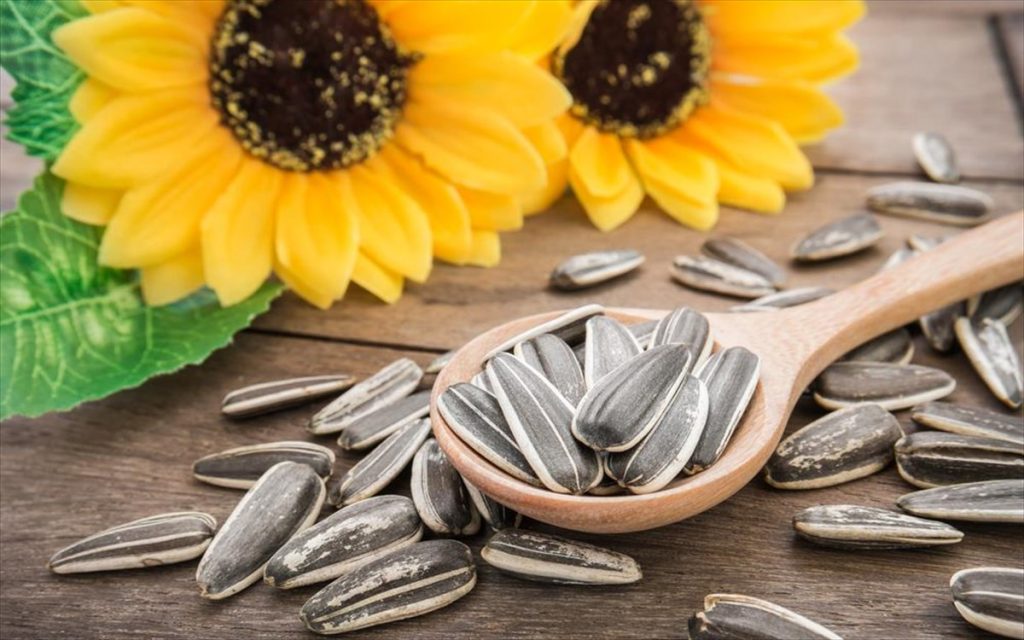 Αυτά είναι τα οφέλη που έχουν για την υγεία οι ηλιόσποροι