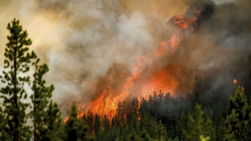 Οι ειδικοί προειδοποιούν: «Κίνδυνος για περισσότερες πυρκαγιές από τις υψηλές θερμοκρασίες και την ξηρασία»